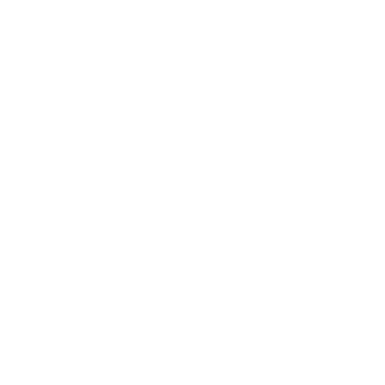 The Bulletproof Project